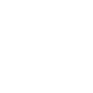 Logo Braintrust White